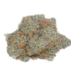 peyote cookies weed indica sativa hybrid cannabis