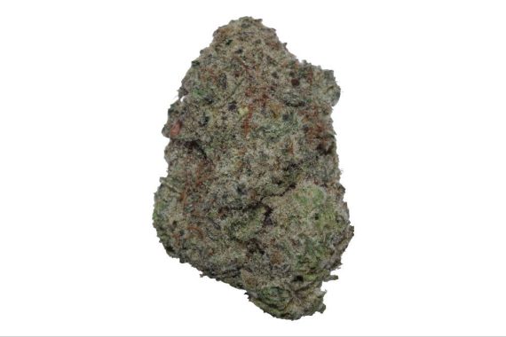 brownie scout weed indica sativa hybrid cannabis strain delivery