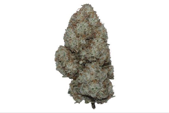 crystal ice indica hybrid sativa cannabis weed strain delivery
