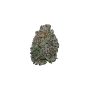 Gucci OG - Image 1