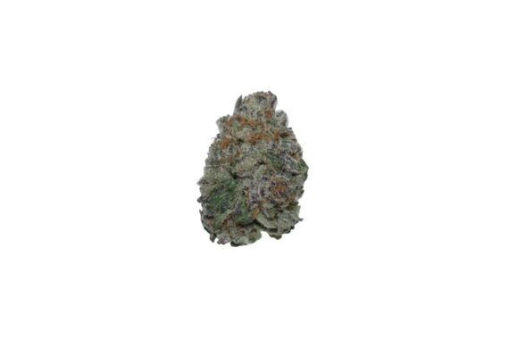 Gucci-OG-240508