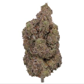 rainbow inferno weed indica hybrid sativa delivery
