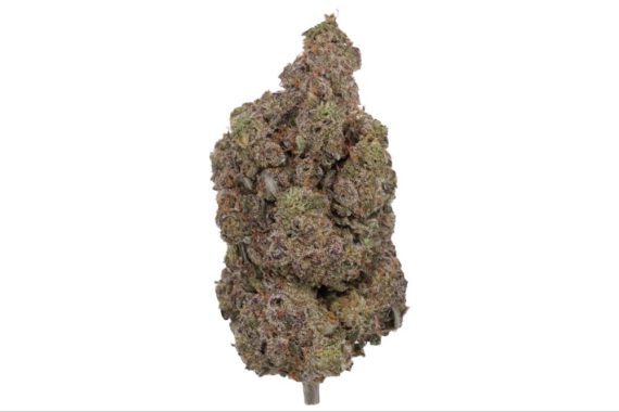 image0-16 rainbow inferno weed indica hybrid sativa delivery