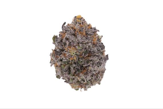 image4-4 double cross weed indica sativa hybrid cannabis