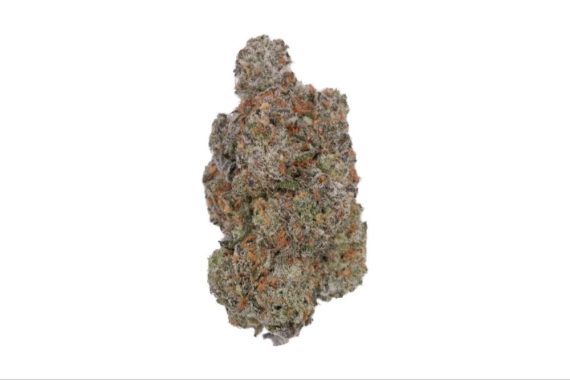 image2-9 rainbows inferno weed indica sativa hybrid cannabis