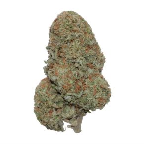 jack herer weed indica sativa hybrid cannabis