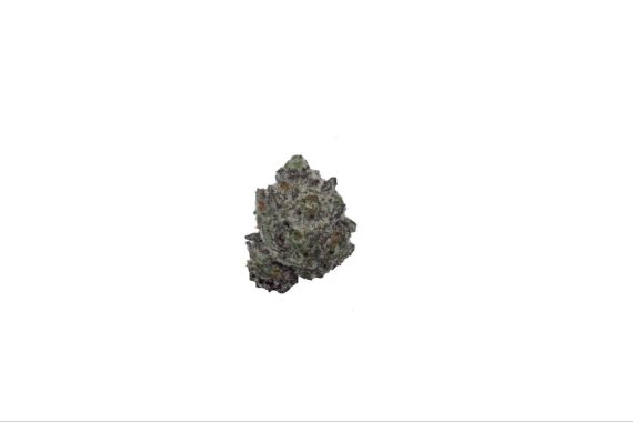 image0-13 gluetopia weed indica sativa hybrid cannabis