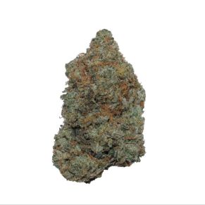 kosher kush weed indica sativa hybrid cannabis