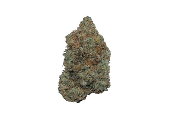 kosher kush weed indica sativa hybrid cannabis