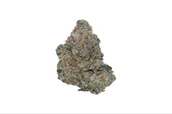 gobbstopper weed indica sativa hybrid cannabis