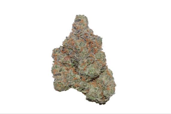 image25 blueberry cheesecake sativa hybrid cannabis weed strain delivery