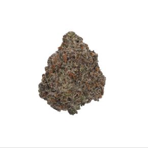 critical mass strain weed indica hybrid sativa cannabis delivery
