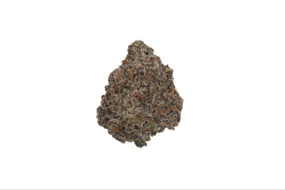 image26 critical mass strain weed indica hybrid sativa cannabis delivery