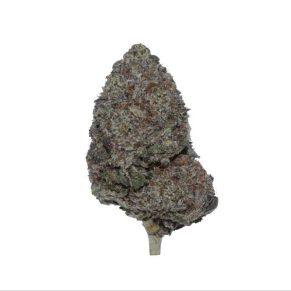 p90 strain weed indica hybrid sativa cannabis delivery