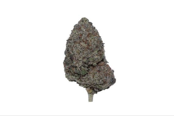 p90 strain weed indica hybrid sativa cannabis delivery
